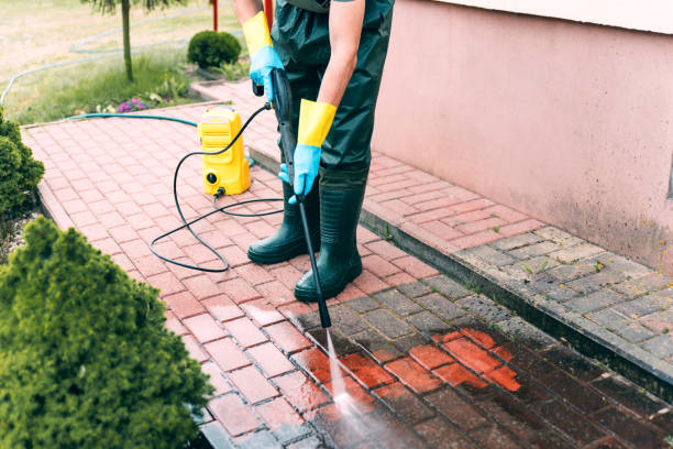 Animal Enclosure Cleaning in Avoca, PA