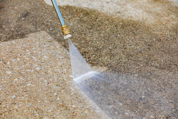 Best Driveway Pressure Washing  in Avoca, PA