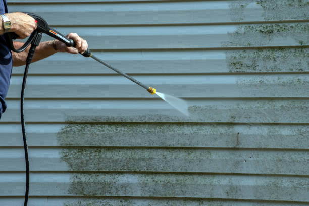 Best House Exterior Washing  in Avoca, PA