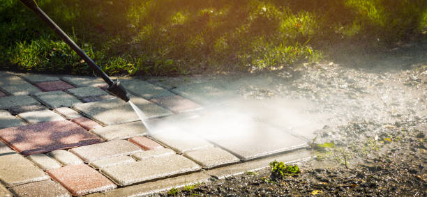 Best Fleet Vehicle Washing  in Avoca, PA